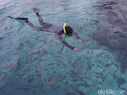 Ini Dia Kampung Terpencil Favorit Penyelam di Raja Ampat