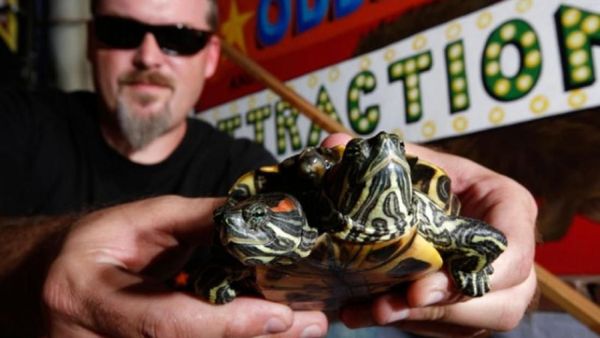 Koleksi Para Miliarder Ini Bikin Geleng-geleng Kepala