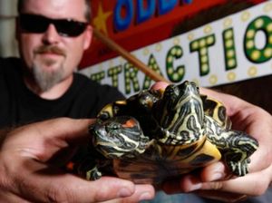 Koleksi Para Miliarder Ini Bikin Geleng-geleng Kepala