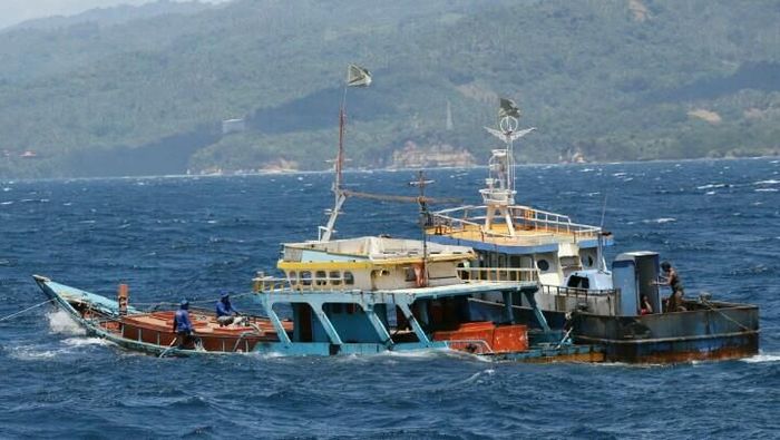 Foto: Dok. Kementerian Kelautan dan Perikanan Foto: Dok. Kementerian Kelautan dan Perikanan
