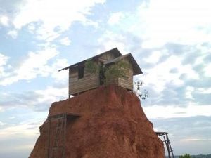 Kasihan, Ada Rumah Jomblo