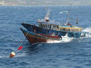 4 Tahun Susi Sikat Kapal Maling Ikan, Apa Hasilnya? 4 Tahun Susi Sikat Kapal Maling Ikan, Apa Hasilnya?