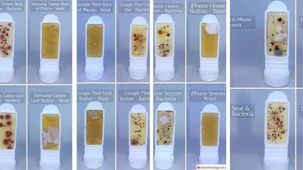 Foto Ini Buktikan Layar Smartphone Lebih Jorok Dibanding Toilet