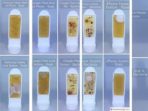 Foto Ini Buktikan Layar Smartphone Lebih Jorok Dibanding Toilet