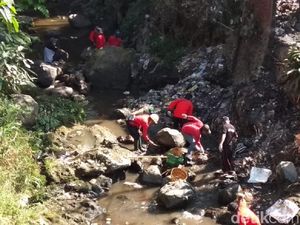 Melihat Ratusan Relawan Bersihkan Hulu Sungai Rawa Pening