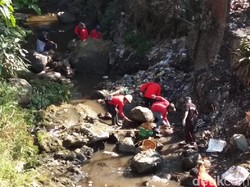 Melihat Ratusan Relawan Bersihkan Hulu Sungai Rawa Pening