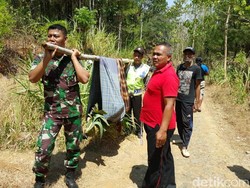 Mbah Yatinem Tewas Terbakar Saat Padamkan Api di Hutan Pinus