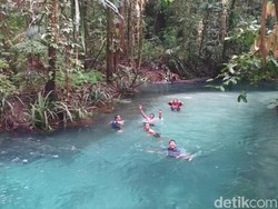 Digoda Kalibiru Raja Ampat