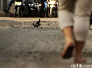 Ngeri! Ada Kabel Nongol di Jalan Panglima Polim Ngeri! Ada Kabel Nongol di Jalan Panglima Polim