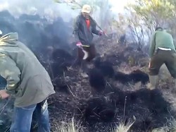 Kebakaran Gunung Lawu Padam, Ini yang Dilakukan Petugas KPH