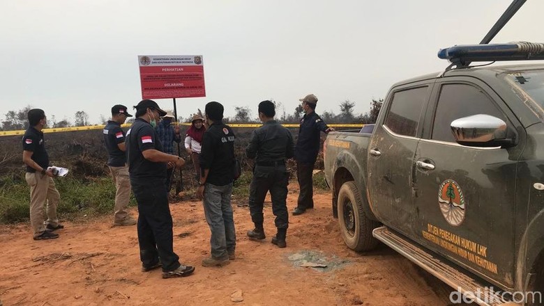 KLHK Segel Area Terbakar Milik 5 Perusahaan di Kalbar