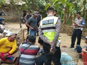 Polisi Gerebek Sabung Ayam di Pandeglang, 7 Orang Ditangkap