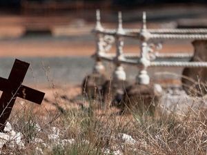 Kuburan Bisa Disewakan Ulang untuk Jasad Lain, Warga NSW Resah Kuburan Bisa Disewakan Ulang untuk Jasad Lain, Warga NSW Resah