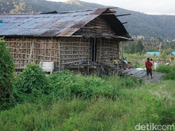 Harmonisasi Alam dan Budaya di Pegunungan Arfak Papua Barat