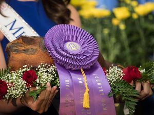 Wouw! Daging Ham Ini Berhasil Terjual Seharga Rp 40,8 Miliar