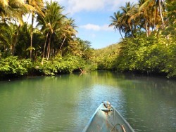 Sungai Maron, Amazon Ala Indonesia