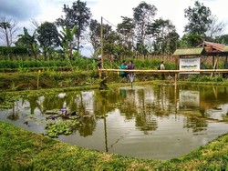 Bioindustri Tingkatkan Efisiensi untuk Kemandirian Ekonomi Petani