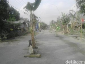 Warga Blitar Hiasi Jalan Rusak dengan Tanam Pohon Pisang