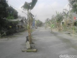 Warga Blitar Hiasi Jalan Rusak dengan Tanam Pohon Pisang