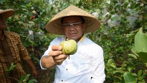 Begini Gaya Kulineran Sohibul Iman, Politisi Sekaligus Presiden PKS