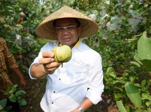 Begini Gaya Kulineran Sohibul Iman, Politisi Sekaligus Presiden PKS Begini Gaya Kulineran Sohibul Iman, Politisi Sekaligus Presiden PKS