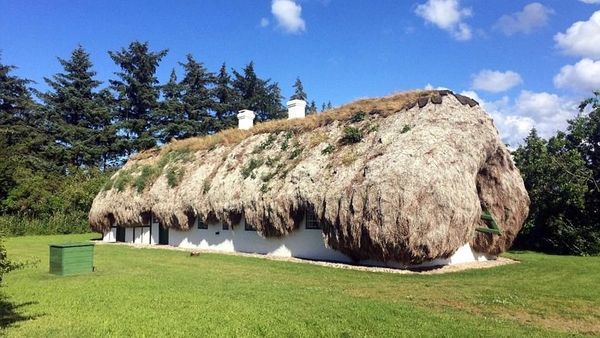 Foto: Rumah Rumput Laut dari Denmark