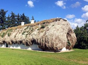 Foto: Rumah Rumput Laut dari Denmark