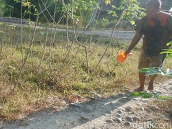Banjarnegara Tetapkan Siaga Bencana Kekeringan
