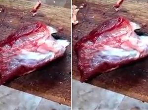 Hii..! Daging Sapi Ini Masih Bergerak-gerak Setelah Dipotong