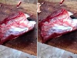 Hii..! Daging Sapi Ini Masih Bergerak-gerak Setelah Dipotong