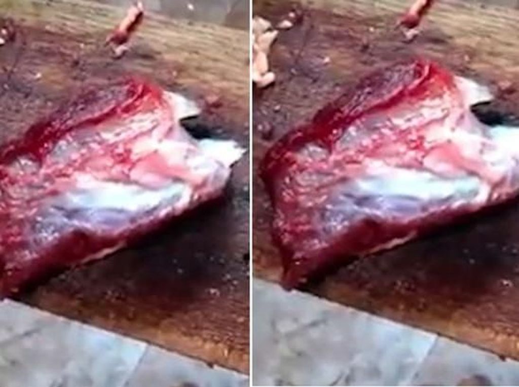 Hii..! Daging Sapi Ini Masih Bergerak-gerak Setelah Dipotong Hii..! Daging Sapi Ini Masih Bergerak-gerak Setelah Dipotong