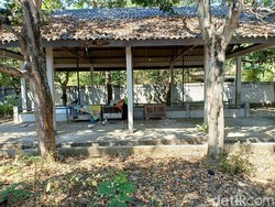 Kerap Dijadikan Tempat Mesum, RPH di Madiun Ini Dikeluhkan Warga