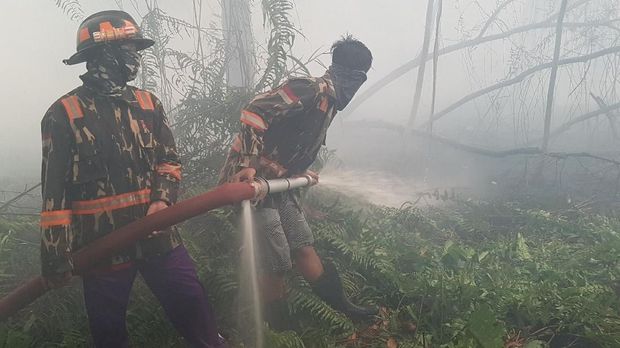 KLHK Menang Gugatan Karhutla, 3 Perusahaan Ganti Rugi Rp1,3 T