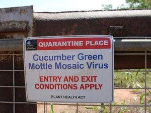 Selandia Baru Larang Impor Buah Labu-labuan dari Australia