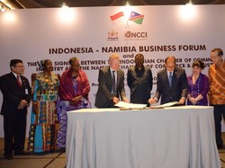 Namibia Ingin Kerja Sama Infrastruktur hingga Pertanian dengan RI