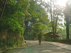 Kesejukan Alam dan Nilai-nilai Sejarah di Tahura Juanda