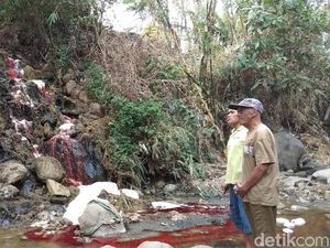 Bikin Air Sungai Jadi Merah Darah, RPH Ambarawa Diminta Setop Operasi Bikin Air Sungai Jadi Merah Darah, RPH Ambarawa Diminta Setop Operasi