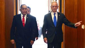 Ryamizard Ryacudu Bertemu Menhan AS