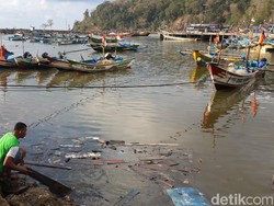 Gelombang Tinggi di Pacitan Diperkirakan Hingga Awal September