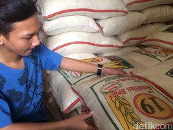 Punya Metode Baru, BPS Tak Lagi Ramal Angka Produksi Beras