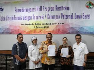 Sinergi FFI dengan Peternak Sapi