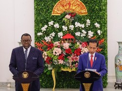 Jokowi Minta WIKA Bangun 2.000 Rumah di Namibia