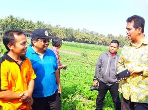 Petani Bisa Hemat Biaya 65% Pasok Air Pakai Pompa Listrik