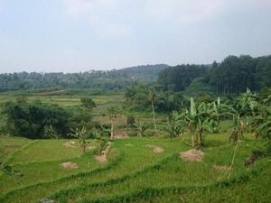 Asyiknya Main Basah-basahan di Curug Bogor
