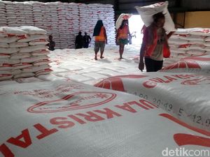 Pembayaran Bulog Terlambat, Petani Setop Tanam Tebu Pembayaran Bulog Terlambat, Petani Setop Tanam Tebu
