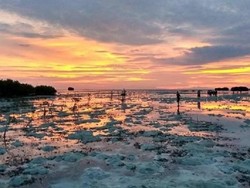 Keindahan Tersembunyi di Pulau Pari