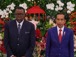 Didukung Jadi Anggota DK PBB, Jokowi Terima Kasih ke Namibia