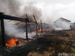 Gara-gara Bakar Sampah, Gudang Penyimpanan Kaus Kaki Dilalap Api