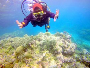 Menyelami Keindahan Wakatobi