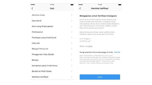 Cek Cara Ajukan Akun Instagram 'Centrang Biru'